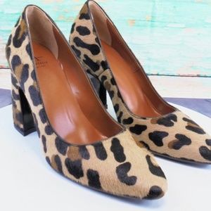 Aquatalia Animal Print Pumps size 7 worn once